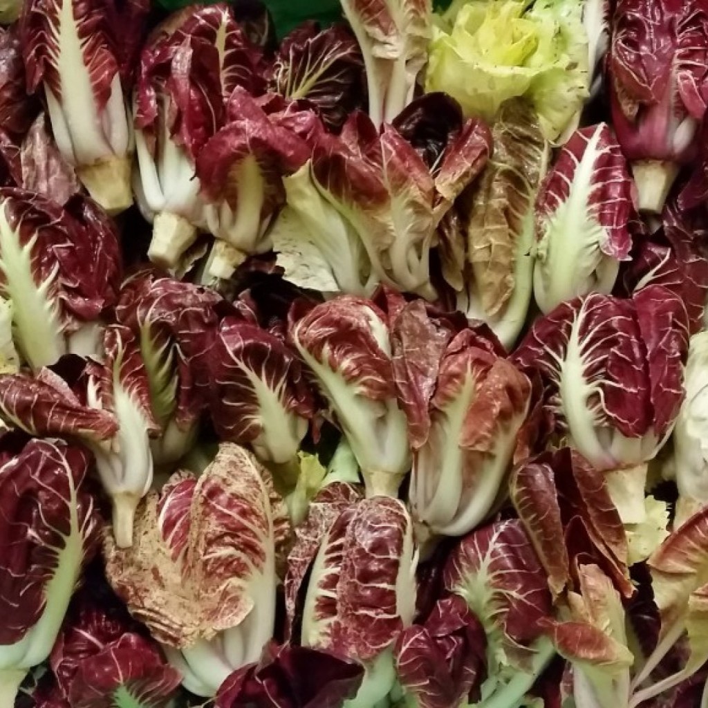 Slovenski pridelki - Nakup pri kmetu